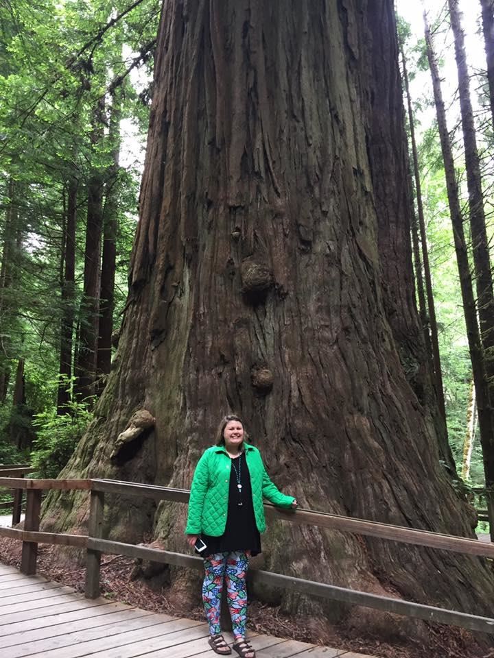 Redwood Forest National Park, 2017